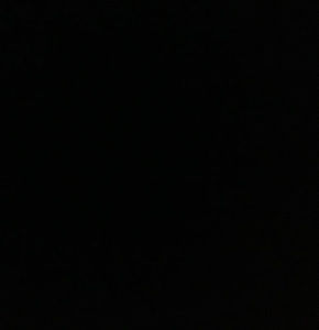 Meet your Posher, Molly